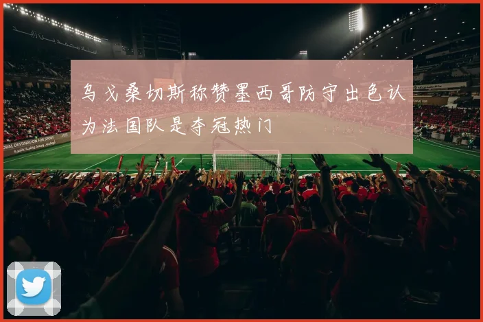 乌戈桑切斯称赞墨西哥防守出色认为法国队是夺冠热门