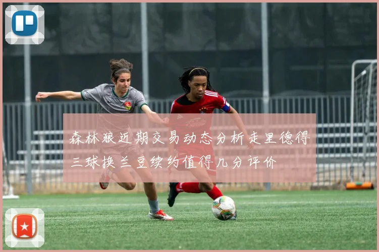 森林狼近期交易动态分析走里德得三球换兰豆续约值得几分评价