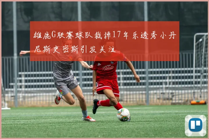 雄鹿G联赛球队裁掉17年乐透秀小丹尼斯史密斯引发关注